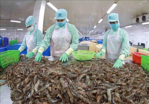 Export value of aquatic products up 38% in nine months: VASEP