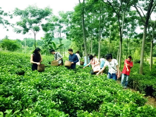 Hanoi wakens agritourism potential