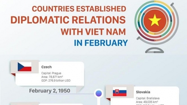 Which countries established diplomatic relations with Viet Nam in February?