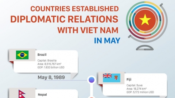 Which countries established diplomatic relations with Viet Nam in May?