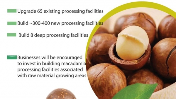 Sustainable Macadamia Development Scheme