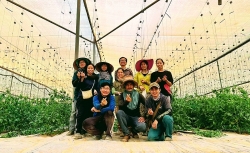 Vietnamese Embassy in Israel advises community to follow new civil defense guidelines