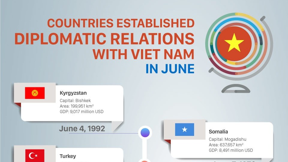 Which countries established diplomatic relations with Viet Nam in June?