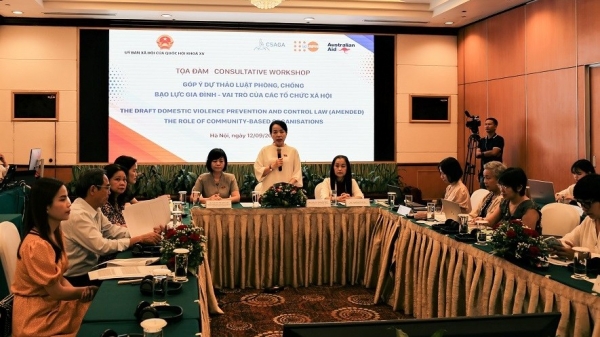 Preventing and combating domestic violence in Vietnam