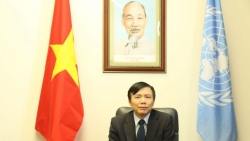 Viet Nam performs UNSC responsibilities well: Ambassador Dang Dinh Quy