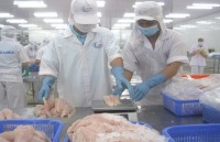 tra fish industry looks to keep growth momentum