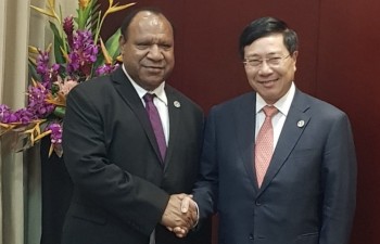 APEC 2018: Deputy PM Pham Binh Minh meets with Papua New Guinea Foreign Minister