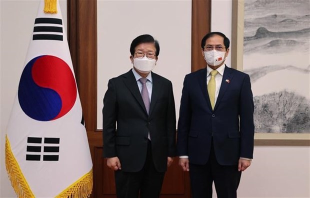 Vietnamese Minister of Foreign Affairs Bui Thanh Son (R) and Speaker of the RoK's National Assembly Park Byeong-seug at their meeting in Seoul on February 11. (Photo: VNA)