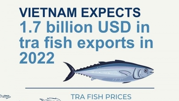 Infographic: Tra fish exports predicted to hit 1.7 billion USD this year