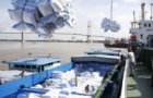 fisheries sector grapples with impact of covid 19