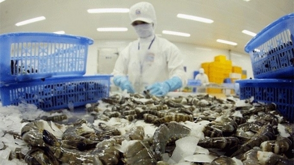 Shrimp exports to fetch over 4 billion USD this year