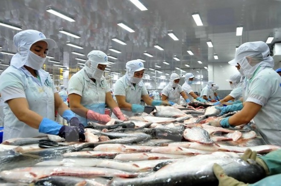 Tra fish exports recorded impressive growth in the first 10 months