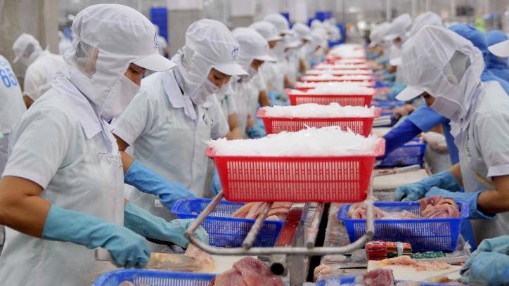 Positive signal for Vietnamese tra fish exported to China