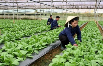 Agriculture sector targets 40 billion USD in export turnover
