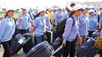 nearly 116700 vietnamese workers sent abroad in 10 months