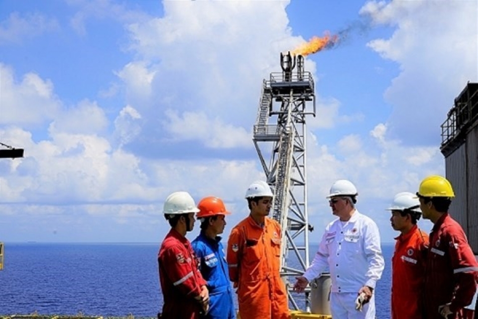 deputy pm vows to facilitate vietnam russia oil gas cooperation