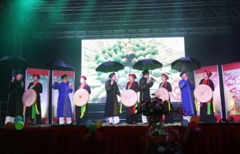 Vietnamese expats in Germany, Malaysia celebrate traditional Tet