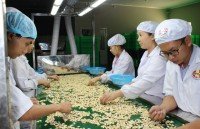 farm produce exports face roks rigid rules