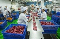 more foreign investors join vietnams securities market