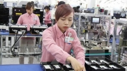 Viet Nam eyes productivity to grow 7.5 percent annually by 2030