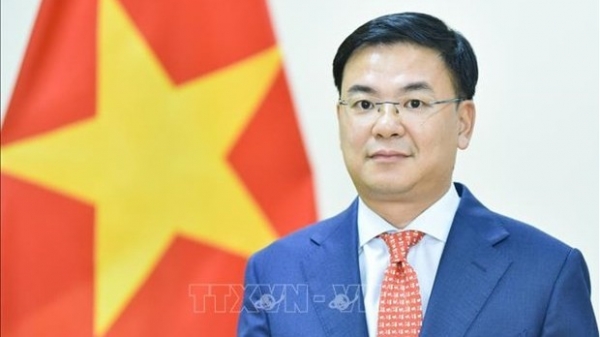 Overseas Vietnamese work fruitful: Deputy FM