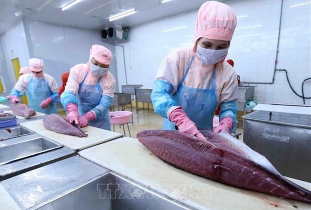 Catalyst for growth of Vietnam’s tuna exports