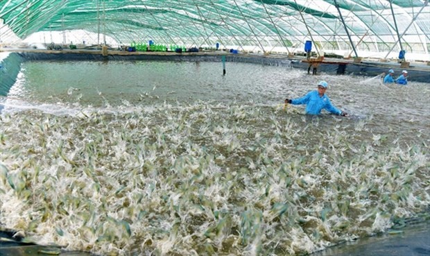 Viet Nam plans modern and sustainable fisheries industry Viet Nam plans modern and sustainable fisheries industry