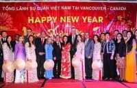 overseas vietnamese celebrate lunar new year