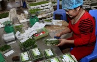 vietnam eyes 21 billion usd in cultivation exports in 2018