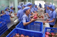 Vietnam eyes 21 billion USD in cultivation exports in 2018