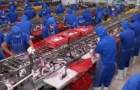 tra fish exports to exceed 2 billion usd
