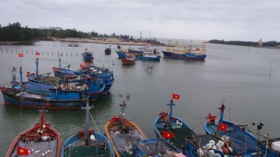 japan installs led lights for fishing vessels in quang tri