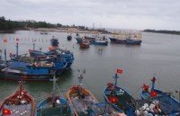 no more illegal fishing since beginning of 2018