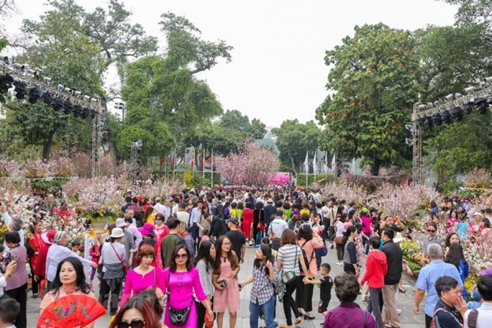 japanese cherry blossom festival brings global wonders to ha noi