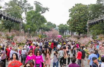 Japanese cherry blossom festival brings global wonders to Ha Noi