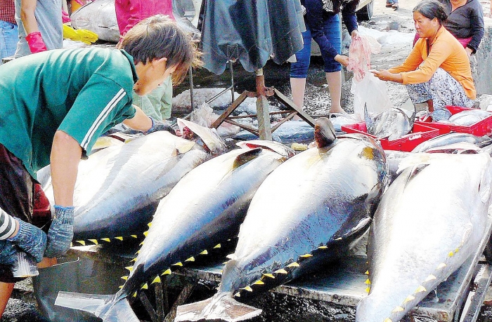 tuna exports expand 10 percent in 2019