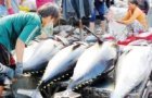 exporters urged to accelerate rex registration