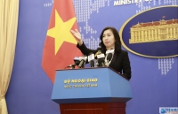 vietnam actively trying to bring citizens in us back home foreign ministry