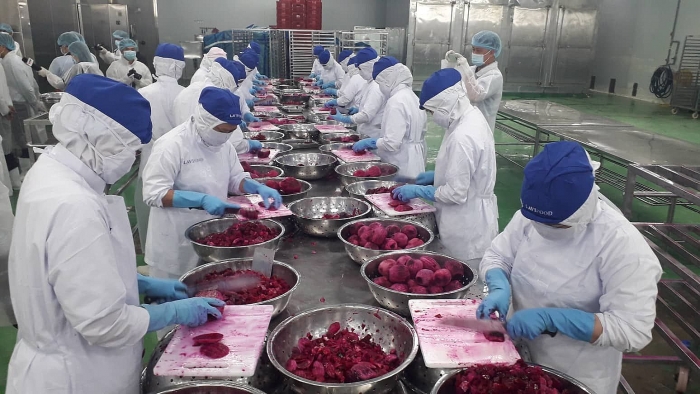 veggie fruit exporters seek new markets through evfta