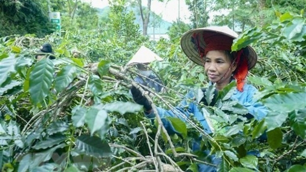 Viet Nam to apply new multidimensional poverty standards