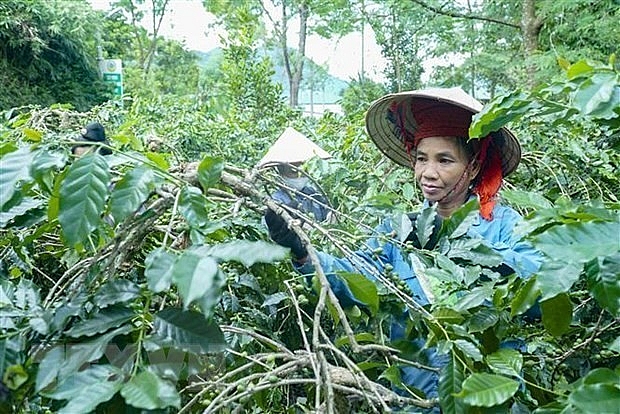 Vietnam to apply new multidimensional poverty standards