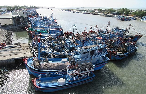 Fishing vessels docking at Ninh Chu port of Ninh Thuan (Photo: VNA)