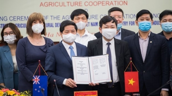 New Zealand, Viet Nam boost agricultural cooperation