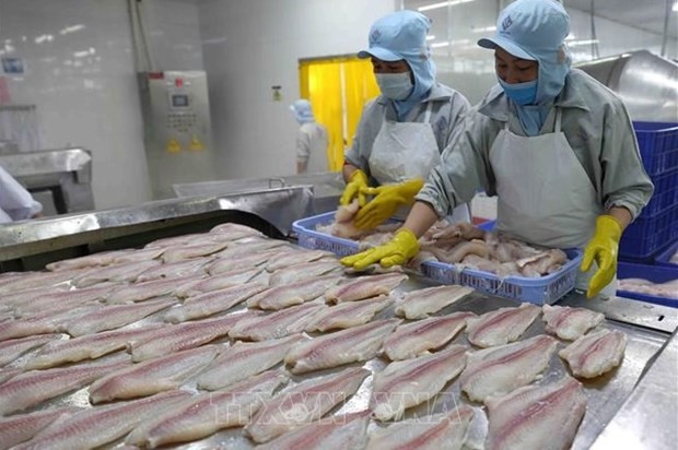 Tra fish export value predicted to top 1.6 billion USD in 2022 Tra fish export value predicted to top 1.6 billion USD in 2022