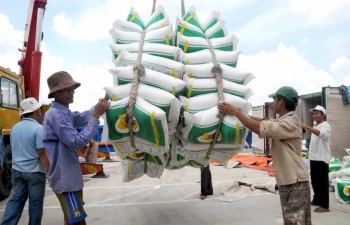 Vietnam likely to export 6.5 million tonnes of rice in 2018