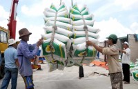 rice export shows positive signals