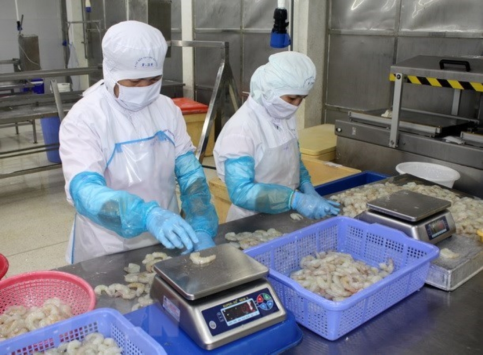 vietnam builds sustainable fisheries industry