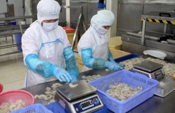 Vietnam builds sustainable fisheries industry