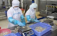 seafood shipments to eu drop