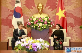 Vietnam, RoK delighted at progress of bilateral ties